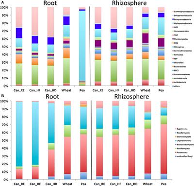 Canola Root–Associated Microbiomes in the Canadian Prairies